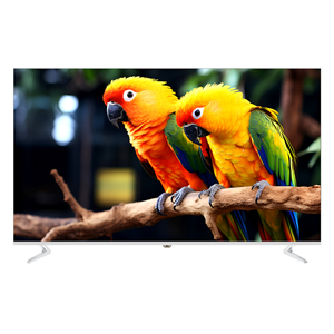 C4 Mini LED TV