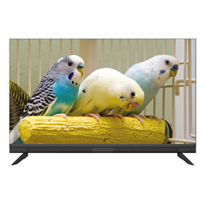 C5A  HiFi TV